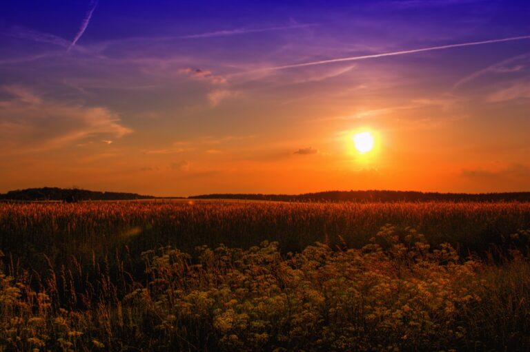 summer-789974_1280