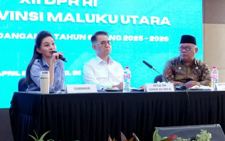 rapat-kordinasi